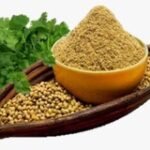 CORIANDER
