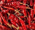 GUNTUR CHILLI